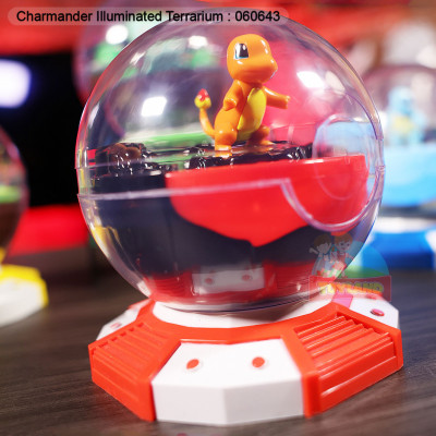 Charmander Illuminated Terrarium : 060643