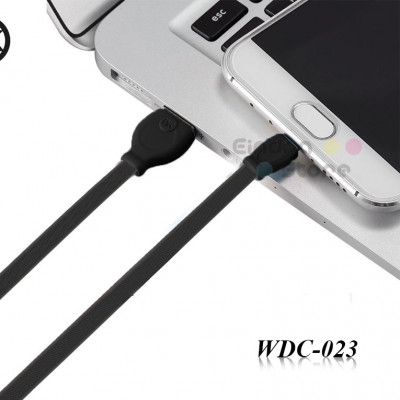 2 in 1 Cable : WDC-023 (micro)